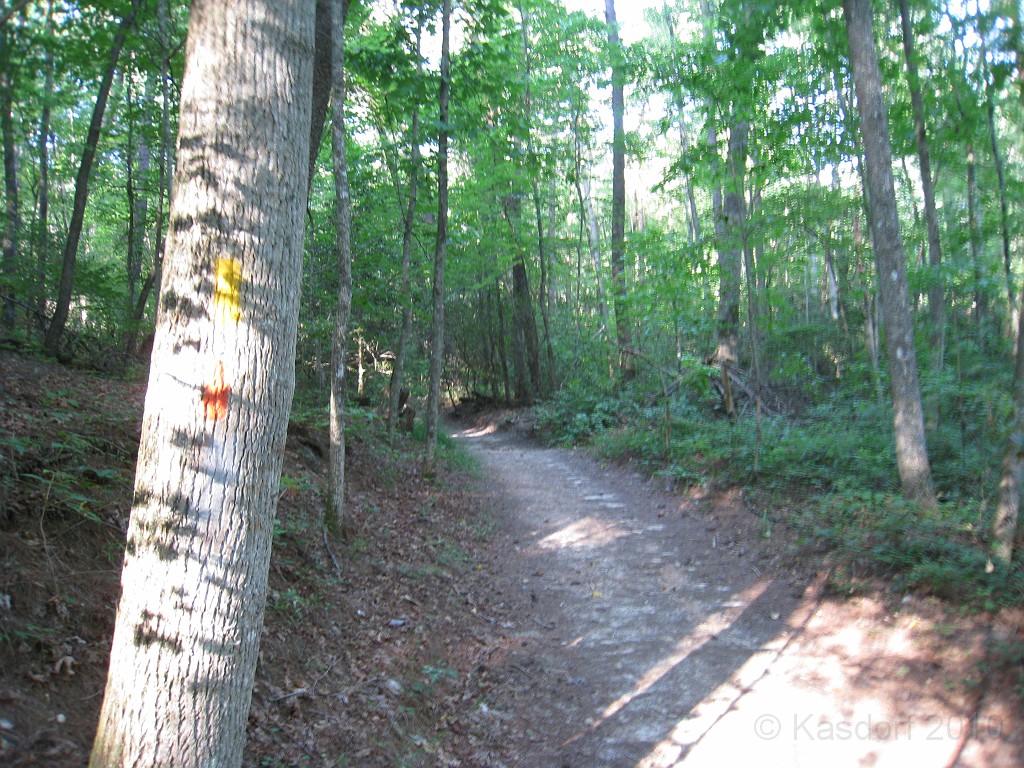 Helen to Unicoi 2010 0380.jpg - The trail from Helen Georgia to the lodge at Unicoi State Park makes a fun six mile run. July 2010 and 90 degrees makes it a little bit more of a workout.